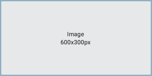 600x300px